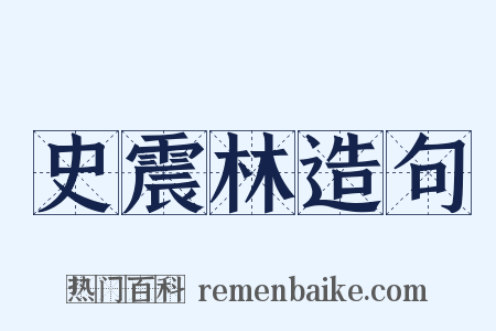 史震林造句是什么意思的图片